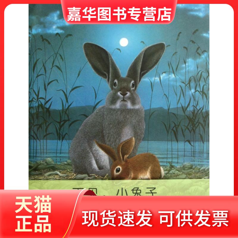 【正版现货】 再见小兔子(精) (瑞士)约克·史坦纳|译者:王星|绘画:(瑞士)约克·米勒 新星出版社