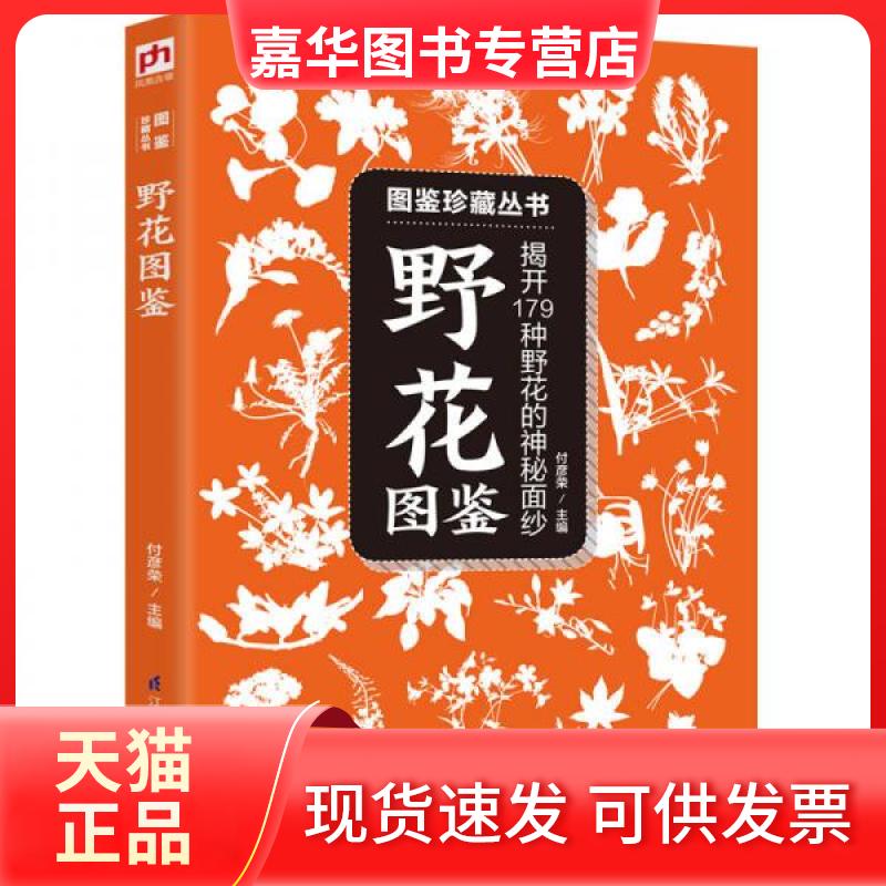 【正版现货】 野花图鉴 付彦荣 著 江苏凤凰科学技术出版社