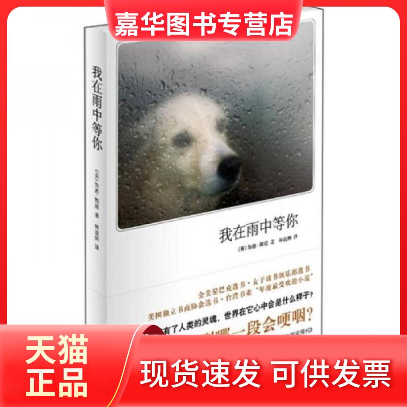 【正版现货】 我在雨中等你 （美）斯坦 著 林说俐 译 南海出版公司