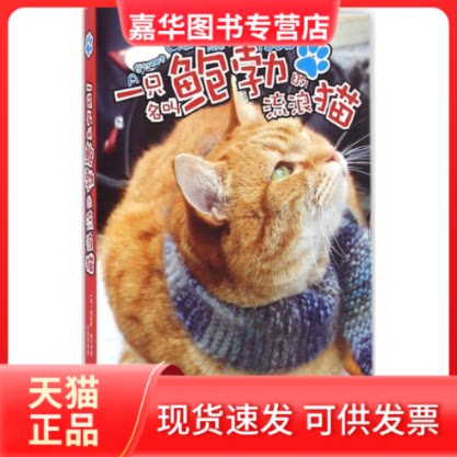 【正版现货】 一只名叫鲍勃的流浪猫 (美)詹姆斯·鲍文(James Bowen) 著;邹园艳 译 中华工商联合出版社