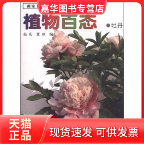 【正版现货】 植物百态--牡丹 董冰 江西美术出版社