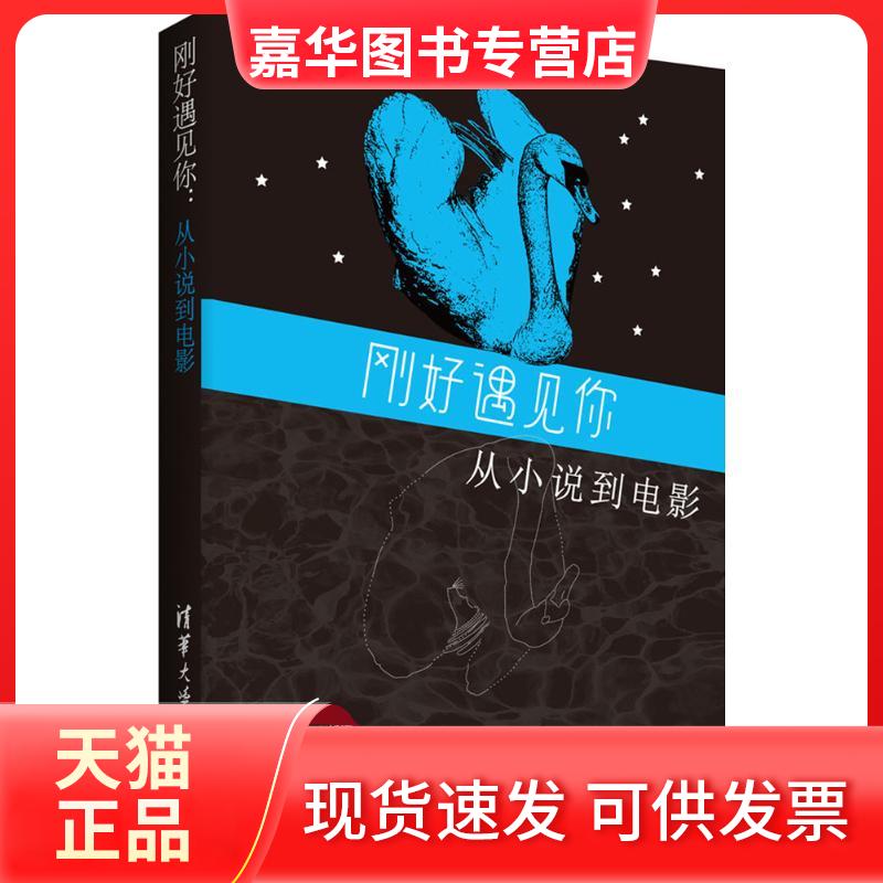 【正版现货】 刚好遇见你 尹邦满王拉娣张晶晶赵静贾云霞 著 清华大学出版社