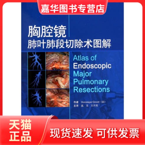 【正版现货】 胸腔镜肺叶肺段切除术图解 （法）戈索 著 高文 王兴安 译 上海科学技术出版社