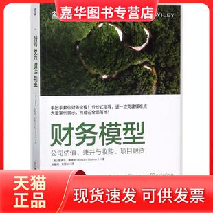 【正版现货】 财务模型:公司估值.兼并与收购.项目融资 (美)爱德华?博德默 著 张鲁明//刘振山 译 机械工业出版社