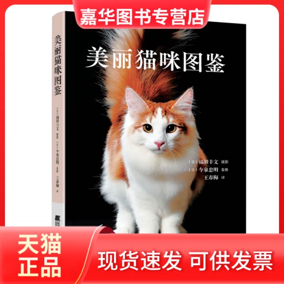 【正版现货】 美丽猫咪图鉴 （日）福田丰文? 摄影 （日）今泉忠明? 监修，王春梅 译 辽宁科学技术出版社