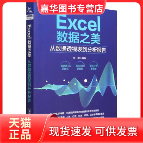 【正版现货】 Excel数据之美 从数据透视表到分析报告 杨群 编 中国铁道出版社