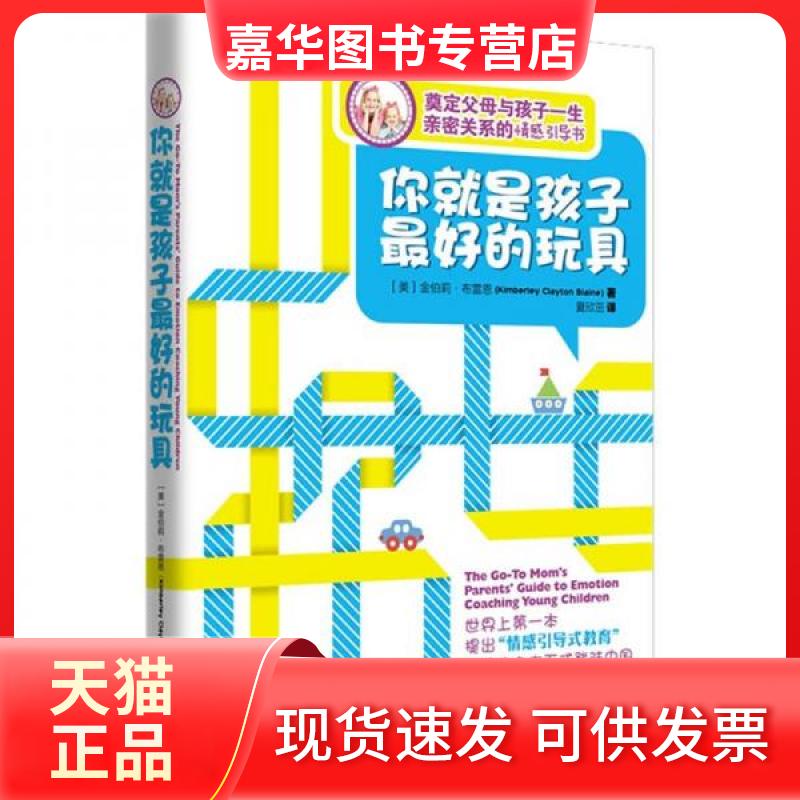 【正版现货】 你就是孩子的玩具 (美)金伯莉·布雷恩 著 夏欣茁 译 南方出版社