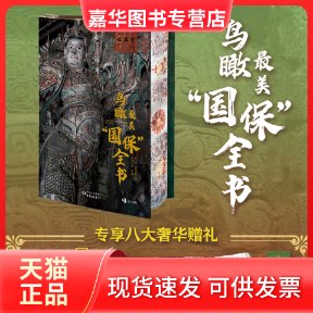 【正版现货】 鸟瞰国保全书 郝天真莎萝蔓蛇著 著 东方博观 主编 编 东方出版中心
