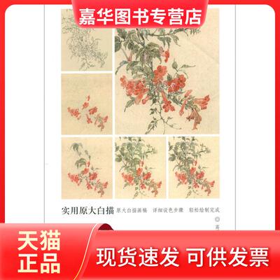 【正版现货】 设色没骨木本花卉 高强 著 魏燕 赵宇 编 天津杨柳青画社