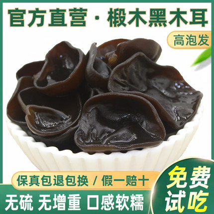 东北长白山黑木耳干货500g包邮非特级非野生秋耳干货无根商用新货