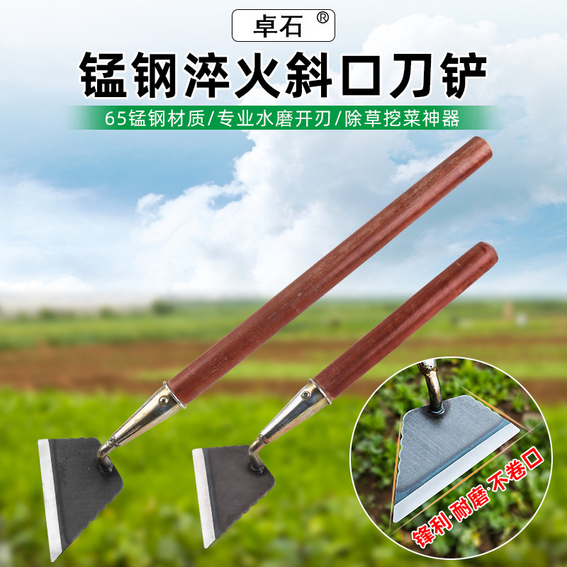 除草铲草神器锰钢铲子挖土平铲刀农用工具养殖清粪清理地面清洁铲,鲜花速递/花卉仿真/绿植园艺,铲子,淘宝优惠券,粉丝福利购,淘宝优惠卷