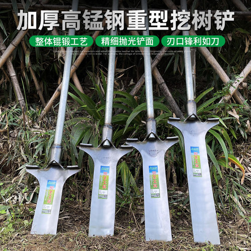 铁铲锰钢挖土坑洛阳断根园林