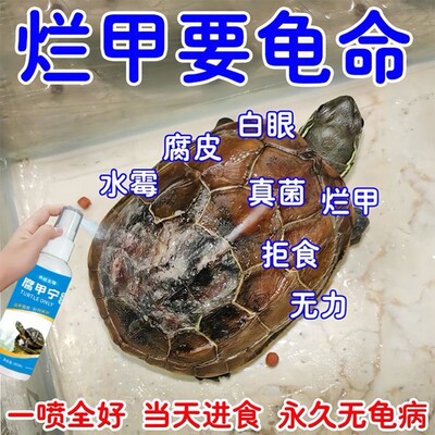 腐甲宁乌龟甲鱼腐皮腐甲眼白病白眼红肿烂甲烂壳消炎专用护龟杀菌
