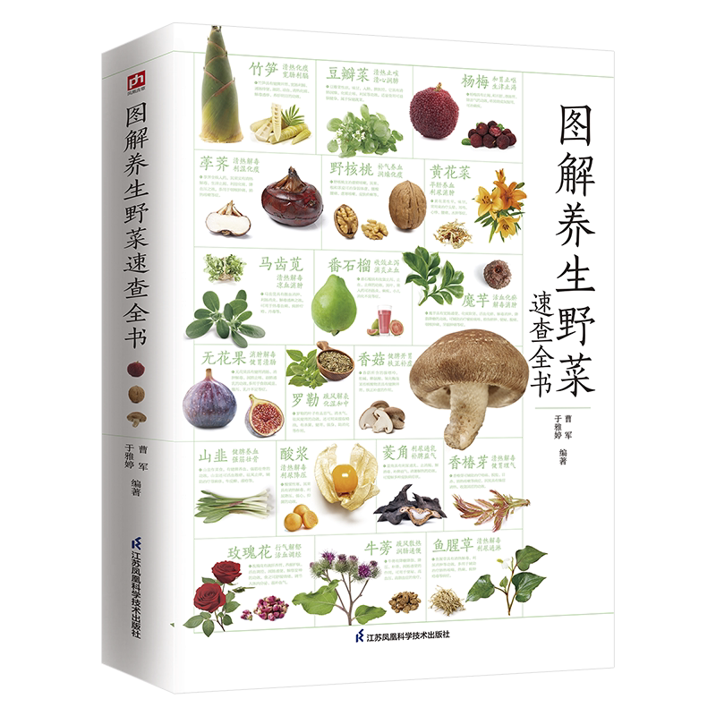 图解养生野菜速查全书 200余种野菜辨别技巧、健康采食方法，180余条药典精要，200余个食疗偏方，内容翔实。现代医学+传统食疗
