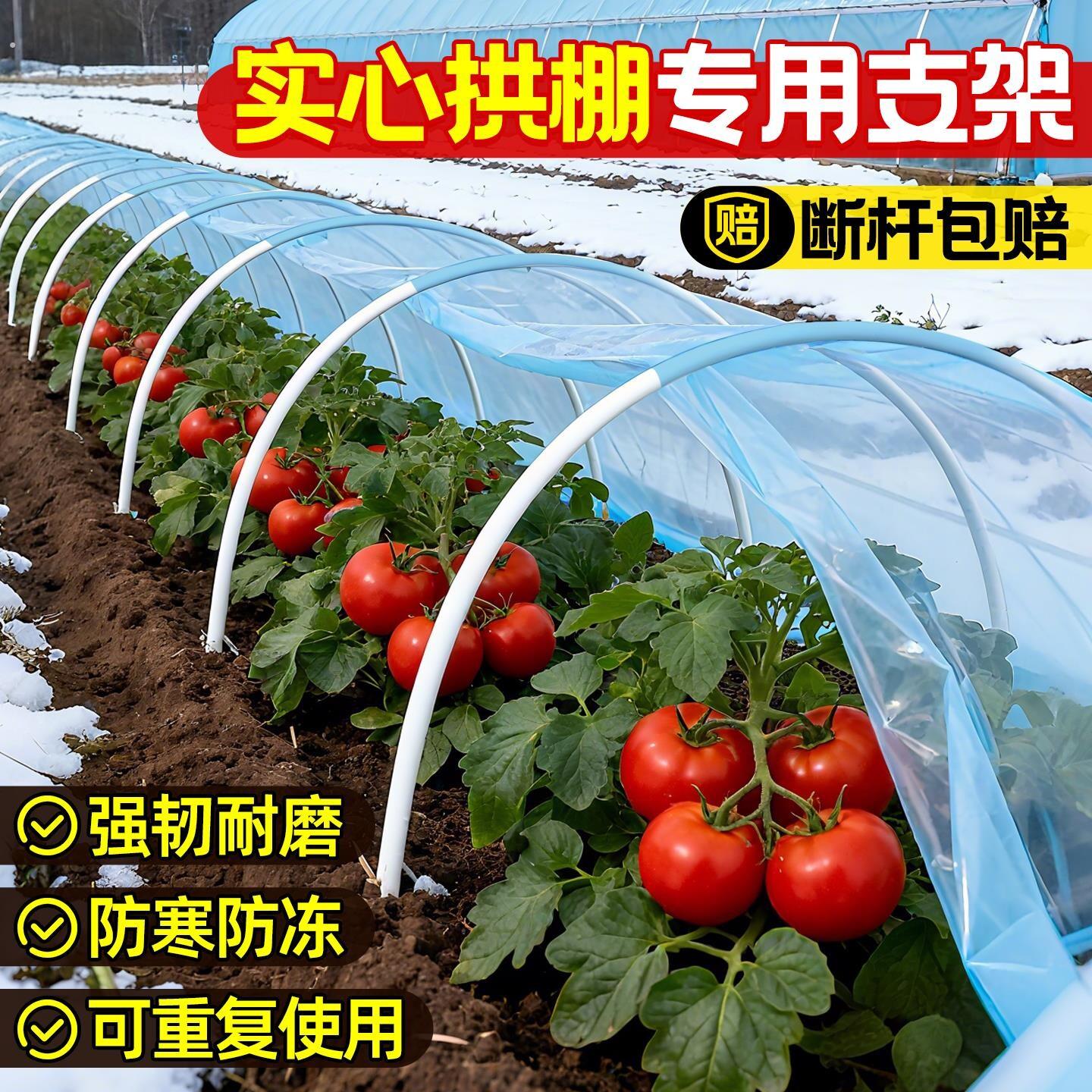 菜园拱棚支架保温大棚支撑杆菜种菜大棚架玻璃纤维骨架棚暖棚温室