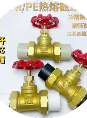 ppr双活接截止阀pe铜截门开关热熔水管总阀4分6分ppr管件活接阀门