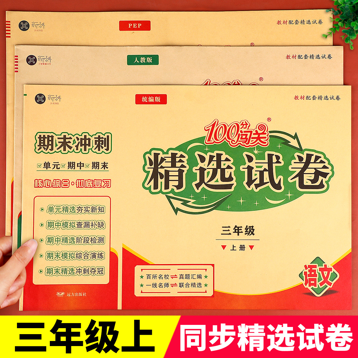 三年级上册100分闯关精选试卷