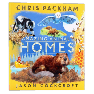 神奇动物的家 英文原版绘本 Amazing Animal Homes 动物栖息地科普启蒙绘本 儿童英语童启蒙图画书 进口原版图书 平装大开