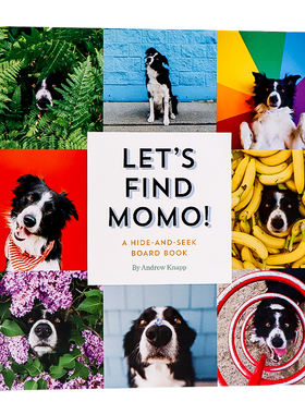 find momo 寻找莫莫英文原版绘本 lets find momo 让我们找到莫莫狗狗高清摄影书儿童互动游戏书英语艺术启蒙纸板书Andrew Knapp