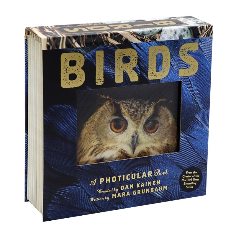 光与影视觉动画书系列鸟类  会动的3D鸟类科普图片 英文原版 Birds A Photicular Book 纽约时报绘本畅销书 精装 Mara Grunbaum