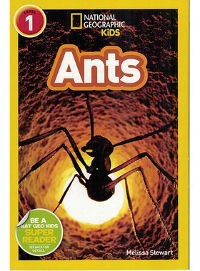 英文原版绘本 National Geographic kids reader ants 美国国家地理 Level 1儿童科普图画书 蚂蚁
