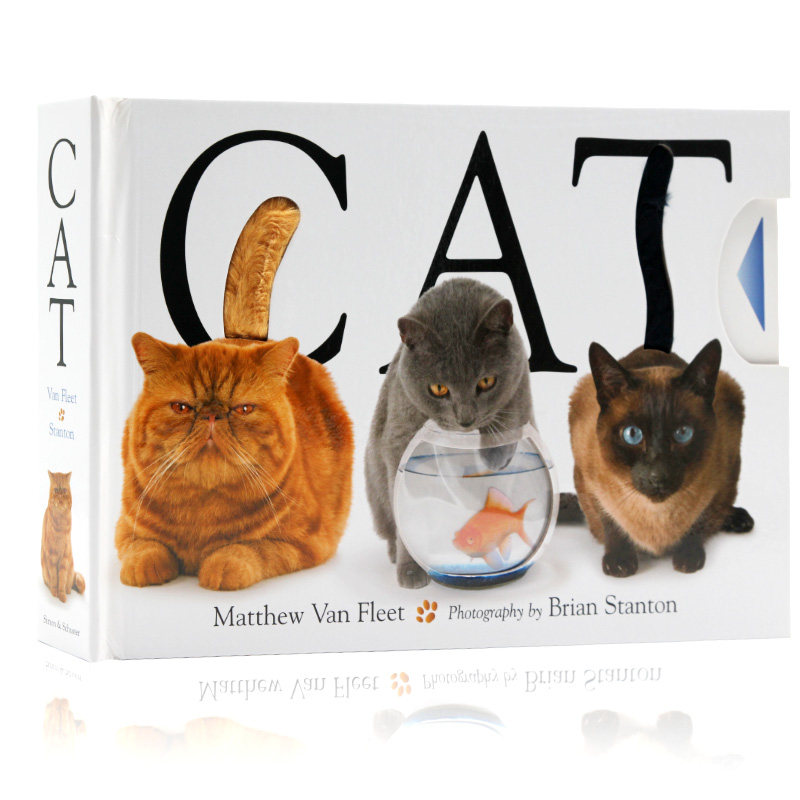 英文原版Cat猫精装大开本