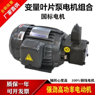 液壓電機油泵組合0.75KW 2.2KW配VP20 40葉片泵電動總成 1.5KW