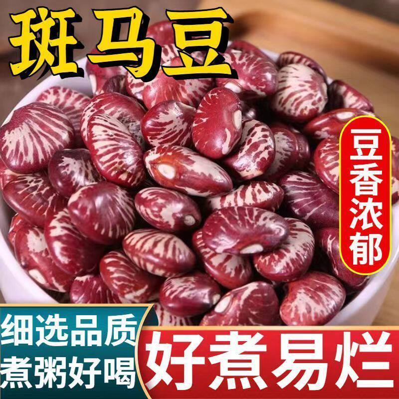 斑马豆新货云南小红腰豆花芸豆五谷杂粮煮粥红豆沙馅粘豆包煲汤豆