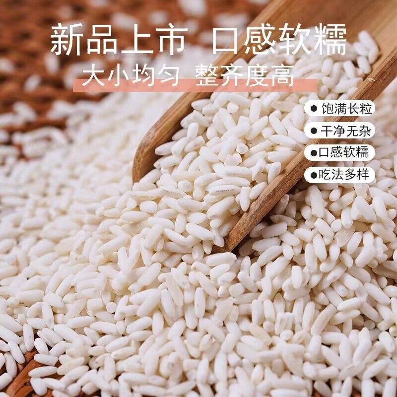 农家新货长糯米软糯香甜包粽子