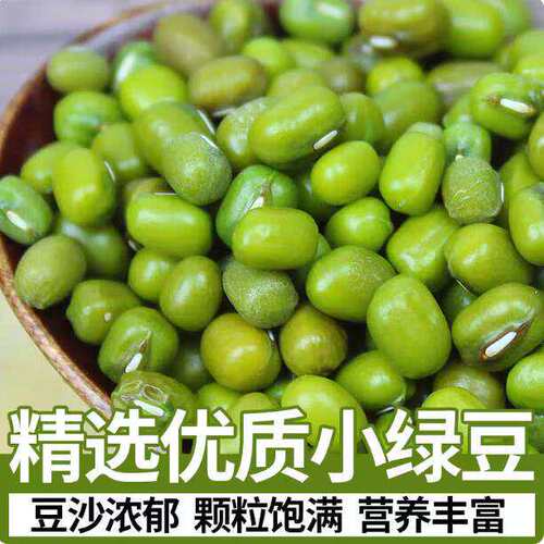 新鲜绿豆皮薄煮粥解暑家用东北新鲜绿豆五谷杂粮薄皮绿豆绿豆汤
