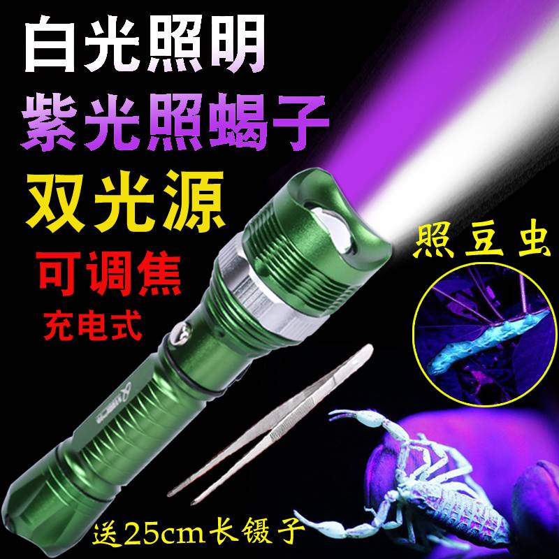 双光源手电筒白光395紫光荧光灯紫外线UV固化验钞灯照蝎子检测灯