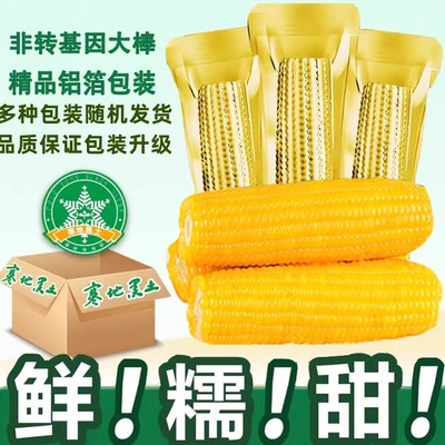 加玉富晓甜糯玉米10根新鲜玉米