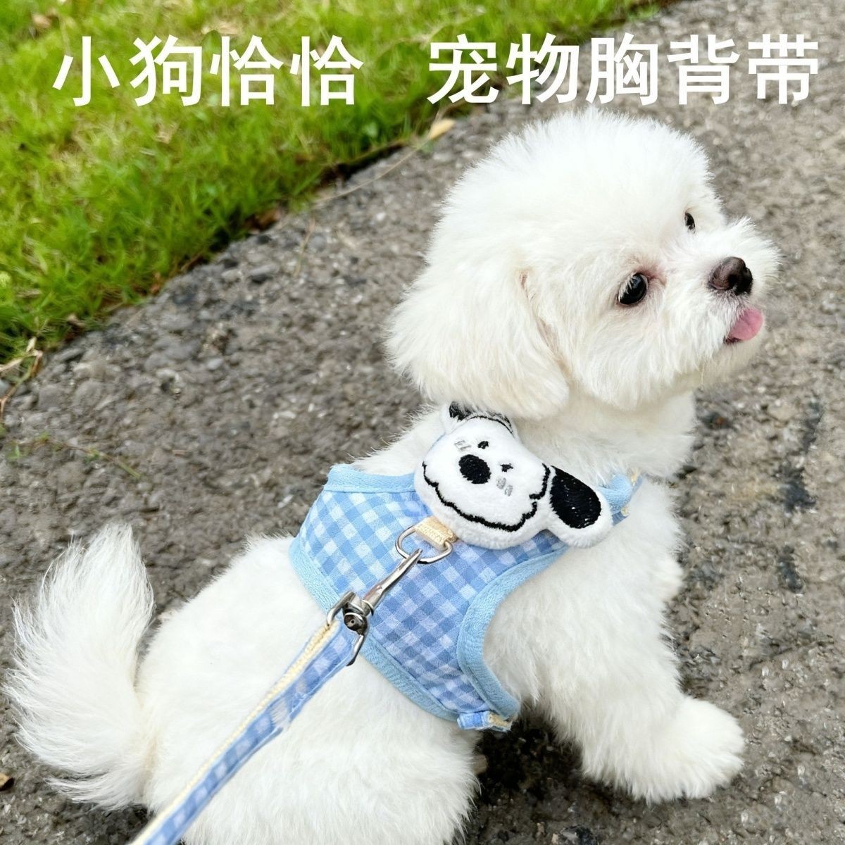 猫咪狗狗外出防挣脱可调节背心牵引绳遛猫神器小型犬比熊泰迪狗链