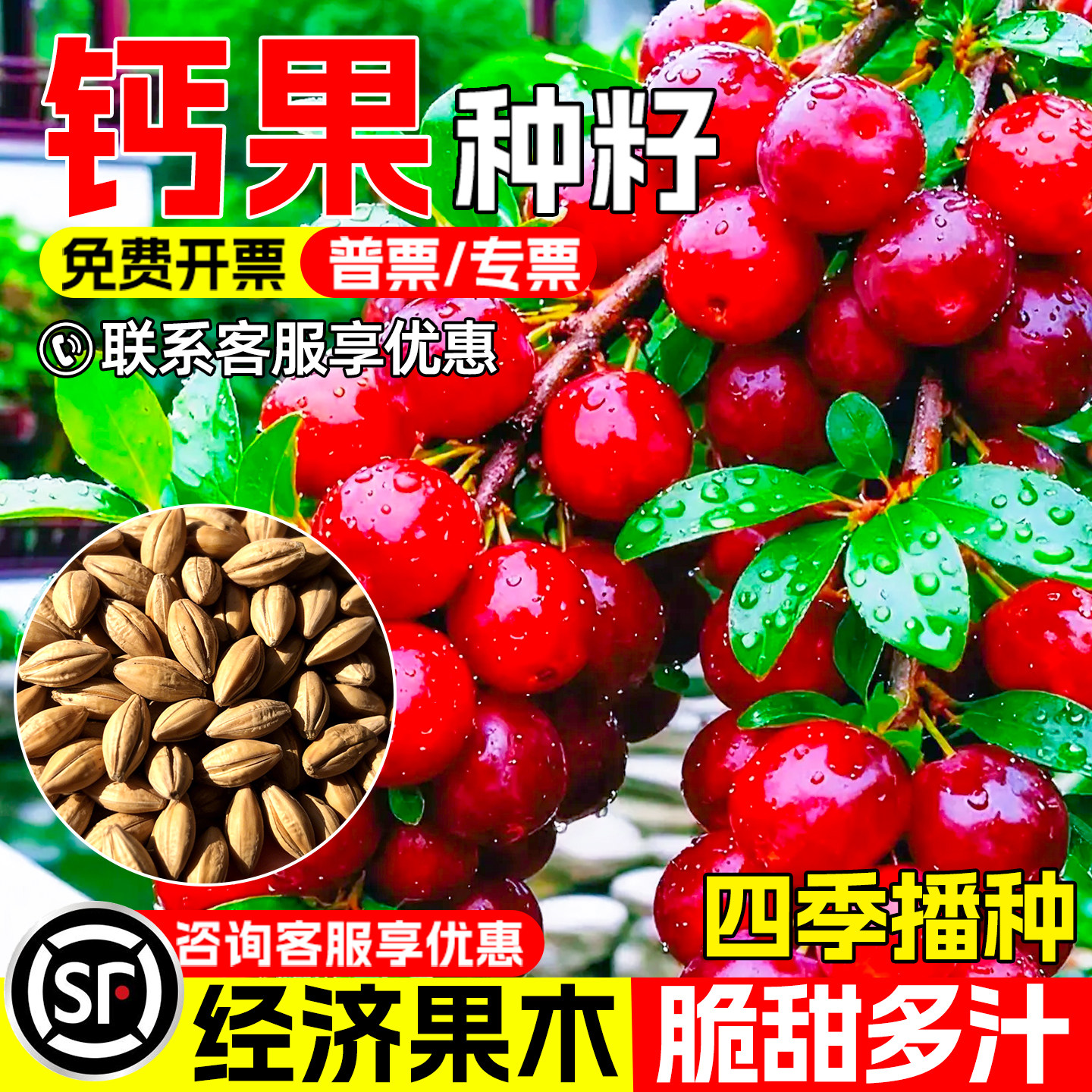 钙果种子早熟高产欧李高钙果种籽