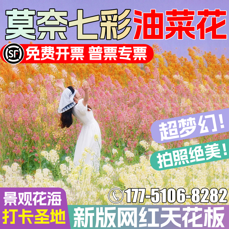油菜花种子高产观赏型花种籽