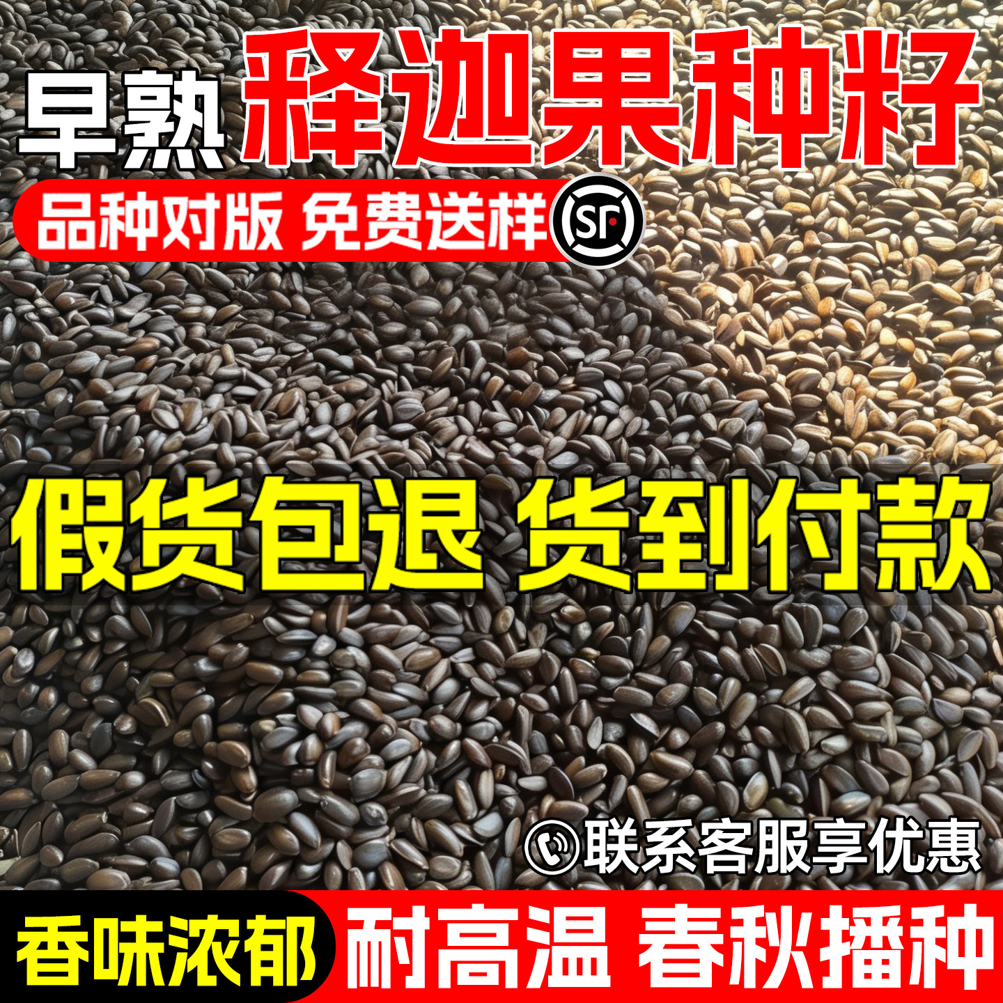 释迦果树种子番荔枝佛头果树种子