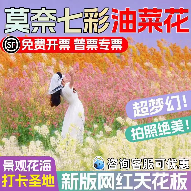 油菜花种子高产观赏型花种籽
