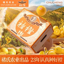 正宗云南冰糖橙哀牢山橙子褚橙新鲜水果褚氏橙励志褚橙花斑橙当季