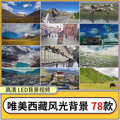 超清唯美西藏风光山水草原蓝天白云pr剪辑视频素材歌曲背景mv片段