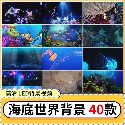 唯美实拍视频海底世界蓝色生物鱼类海洋大海超高清mp4剪辑mov素材
