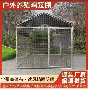 鸡笼鸡棚特大号户外家禽养殖棚养鸡笼子家用养鸡棚全套鸽子笼孔雀