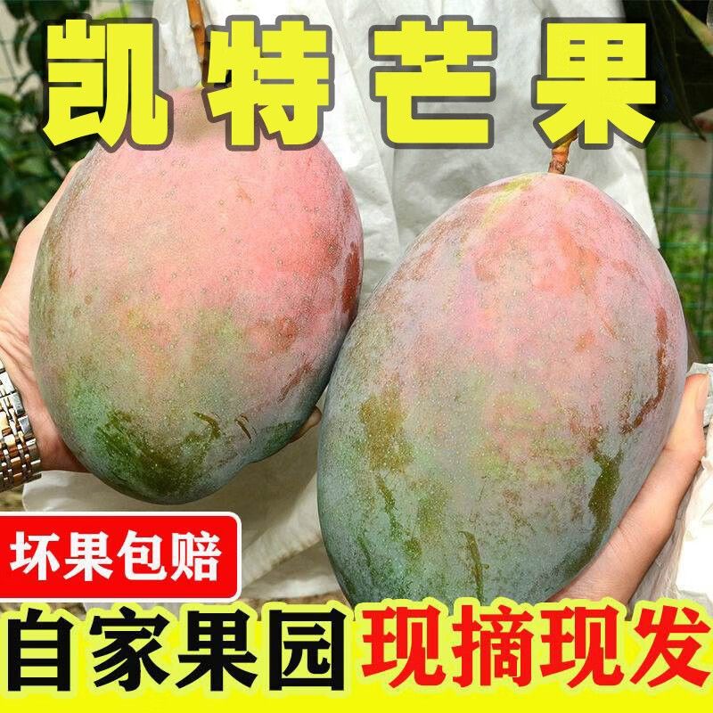 攀枝花凯特芒果爆甜水分足新鲜应当季水果芒忙果整箱包邮青皮大芒