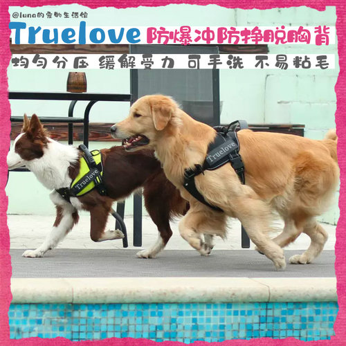 胸背带Truelove经典马鞍型背心式