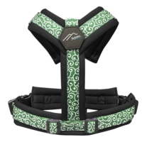 【Новый цвет сундука】 зеленый танг cao x черный