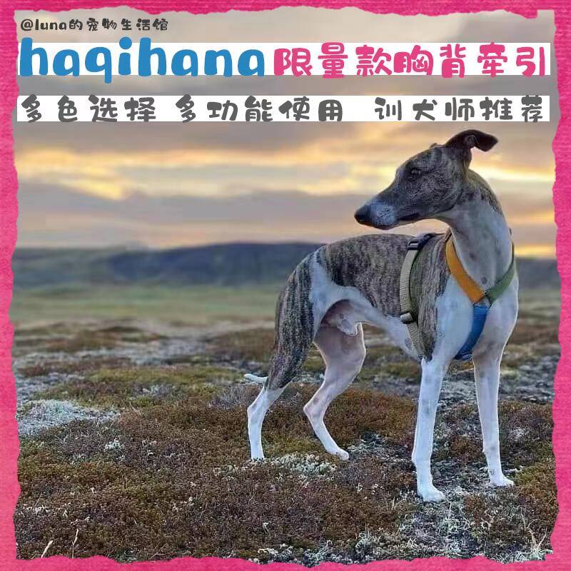哈绮哈娜限量款胸背宠物胸背牵引图片