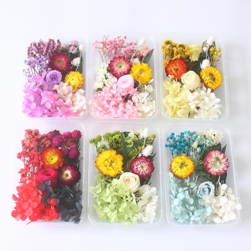 diy相框浮游团建活动手工永生花