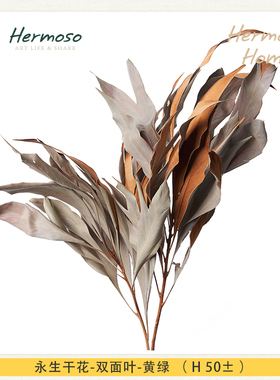 HERMOSO 永生干花仿真花树枝树叶干枝假花装饰品摆件陈设植物室内