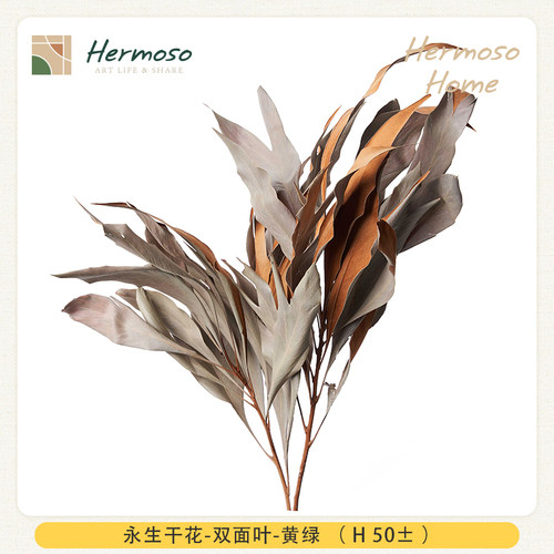 HERMOSO永生干花仿真花