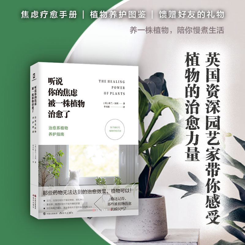 听说你的焦虑被一株植物治愈了