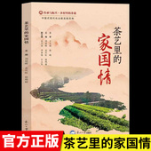 家国情正版 保健食疗茶礼仪 传承与振兴乡村里 茶文化入门书籍茶文化饮茶方法器具茶膳茶食茶肴茶 识茶泡茶品茶书籍 非遗 茶艺里